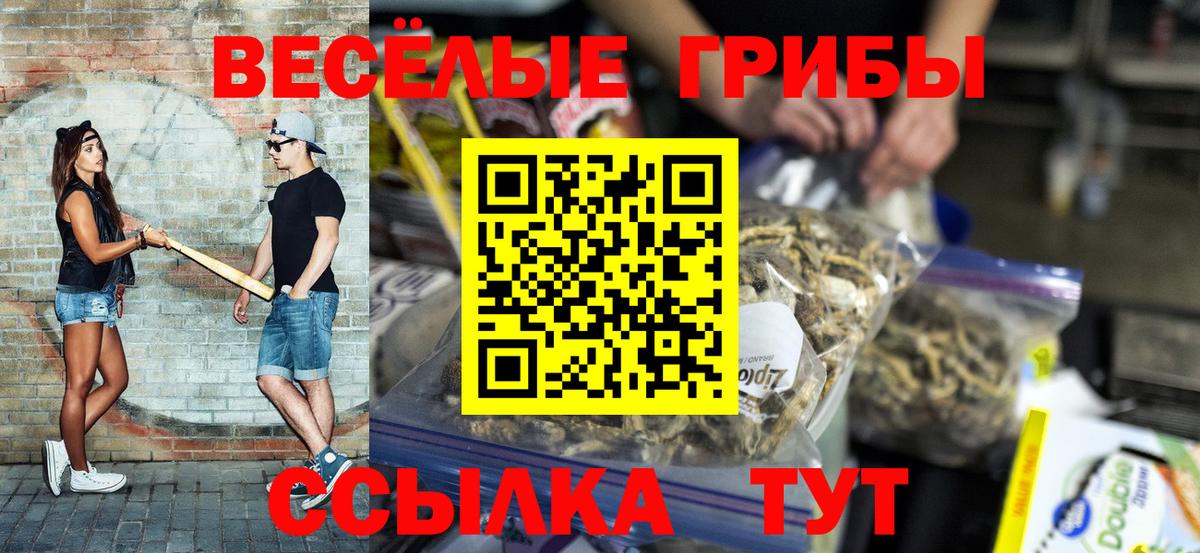 Полысаево  Псилоцибиновые грибы мицелий  Вход с VPN 